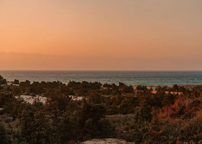 Cedar Forest Alyko Oceanfront 4br With Private Heated Pool & Access Willa *