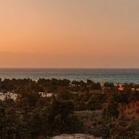 Cedar Forest Oceanfront Villa, 4br Private Pool - Naxos Villa *