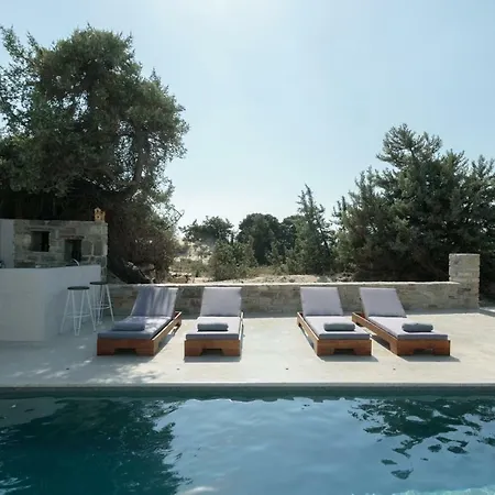 Cedar Forest Oceanfront Villa, 4br Private Pool - Naxos Παραλία Αλικό