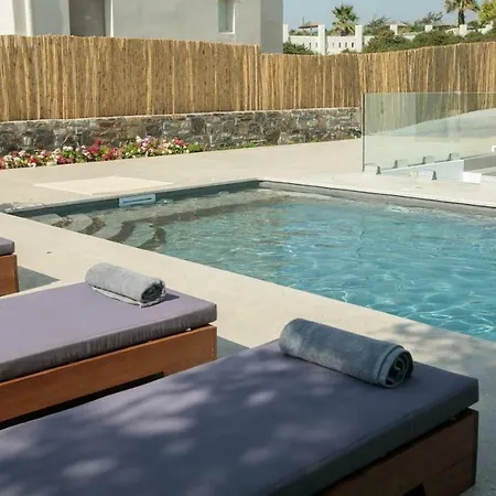 Cedar Forest Oceanfront Villa, 4br Private Pool - Naxos Aliko Beach